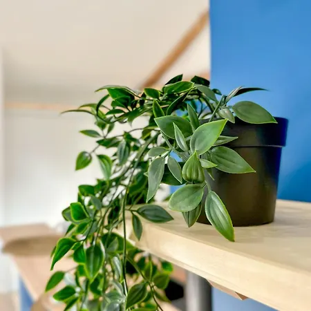 アパート #leblue #centre