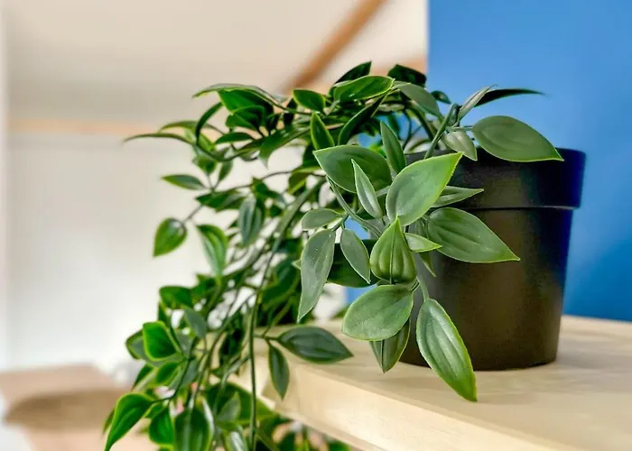 Appartement #leblue #centre